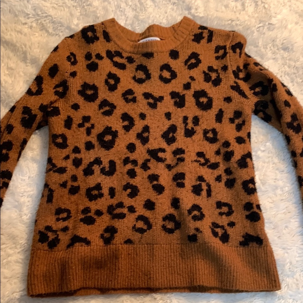 Brown Leopard Print Crew Neck Sweater